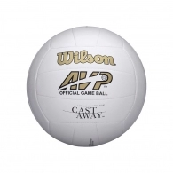 Minge Wilson Volley ball