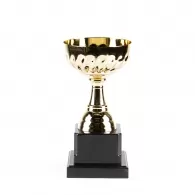 Кубок HAOYUNQI Gold Cup