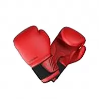 Перчатки для бокса SHUANGCAI Boxing gloves