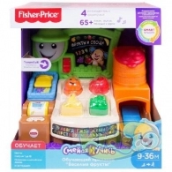 Fisher Price FBM32 Smart Stages 