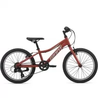 Велосипед для детей Giant XtC Jr 20 Lite