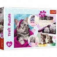 Trefl Puzzles 15371 160 Lovely kittens