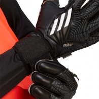 Перчатки вратарские Adidas PRED GL MTC FS