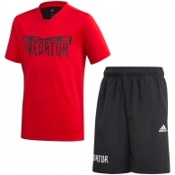 Набор футболка и шорты Adidas FM1729