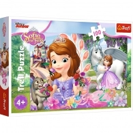 Trefl 16344 Puzzles 100 In A Kingdom Of Adventures