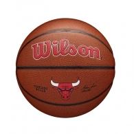 Minge Wilson Chicago Bulls Team Alliance