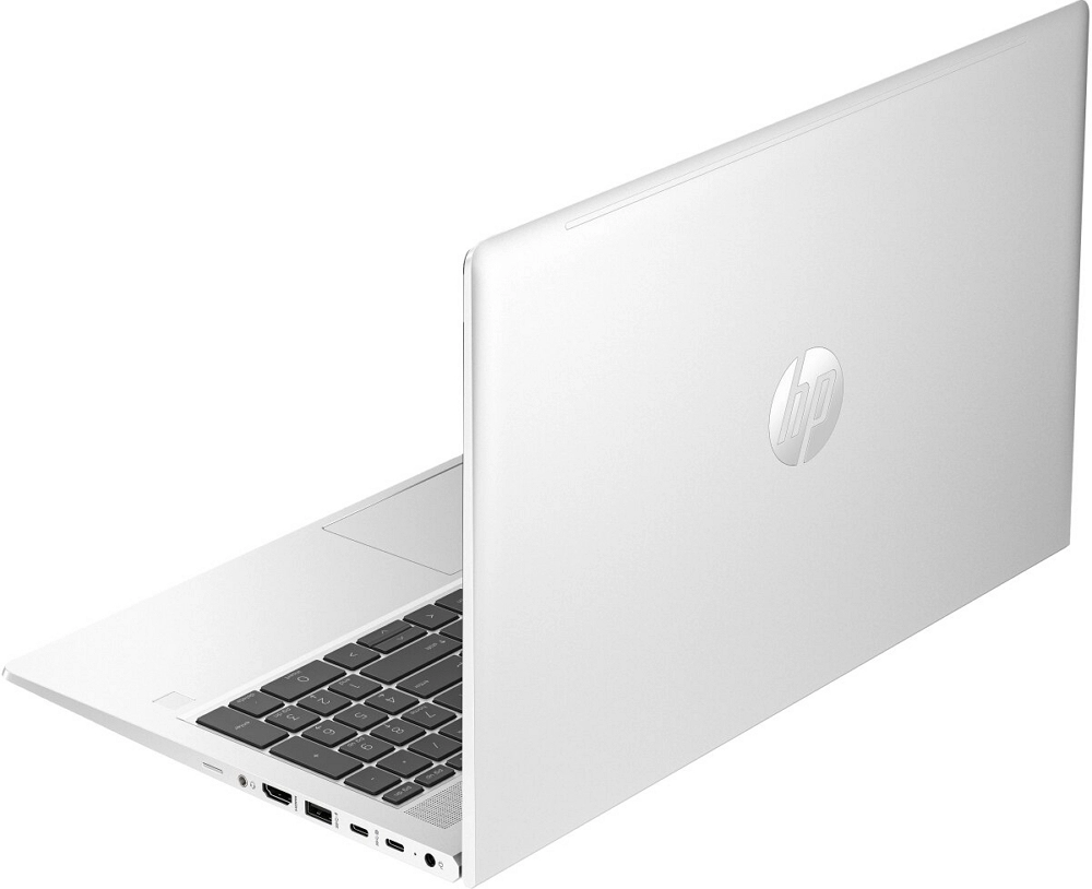 Ноутбук HP ProBook 450 G10 (725J6EA), 16 ГБ, Серебристый