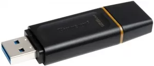 USB Флэш Kingston DTX128GB