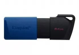 USB Флэш Kingston DTXM64GB