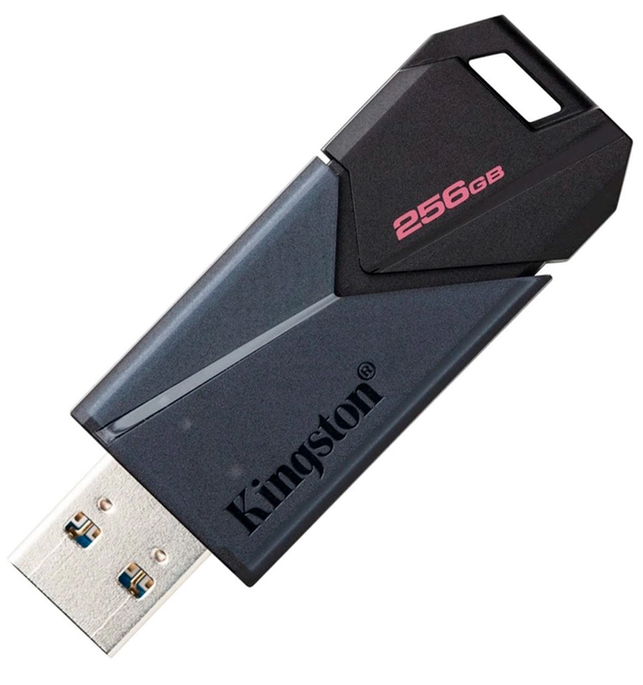 USB Флэш Kingston DTXON256GB